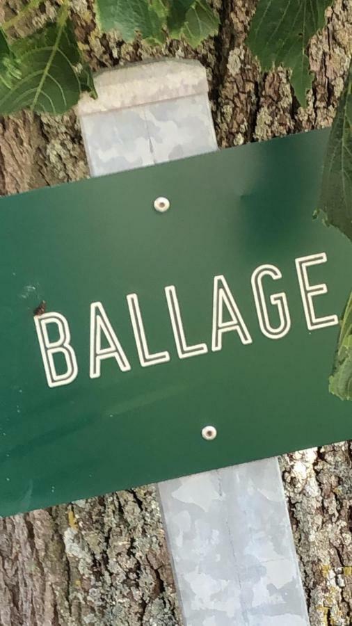 Le Gite De Ballage Chemille-Sur-Deme Ngoại thất bức ảnh